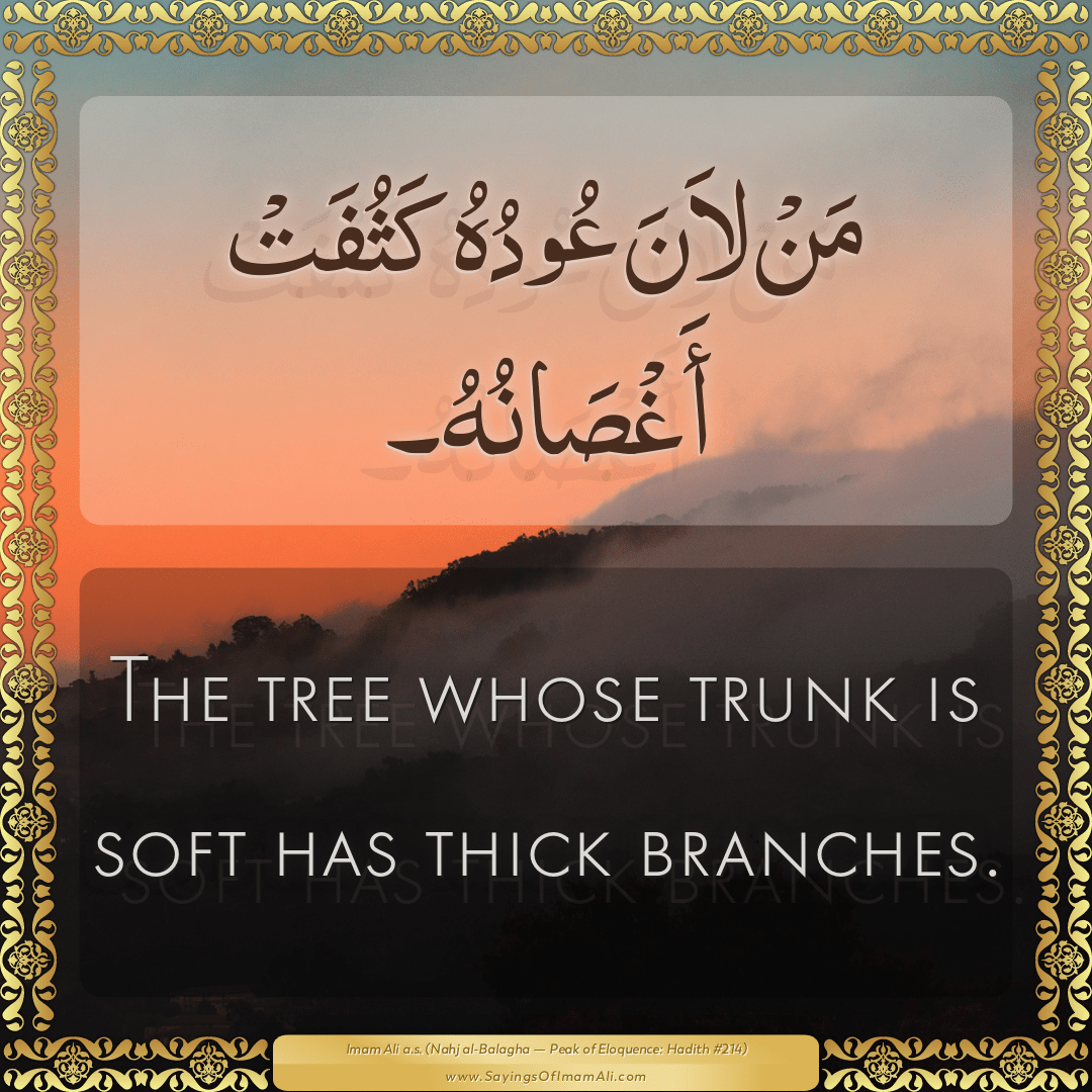 The tree whose trunk is soft has thick branches.